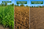 Agro quatro Total za suzbijanje korova 1L - Image 2
