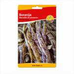 Boranija Merveille de Piemonte - Propovednikova boranija visokog prinosa