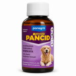 PANCID TURBO 50 ml – INSEKTICID PROTIV BUBAŠVABA, MRAVA, KOMARACA I DRUGIH INSEKATA