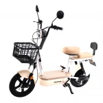 Električni bicikl 48V 12Ah – City e-bike sa dometom do 60 km