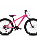 Dečiji bicikl Capriolo Oxygen 24"