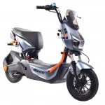 Električni bicikl E-BIKE E2 RX20 – Domet do 60 km